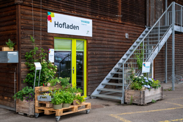 Viv_Biogärtnerei_103 (1)